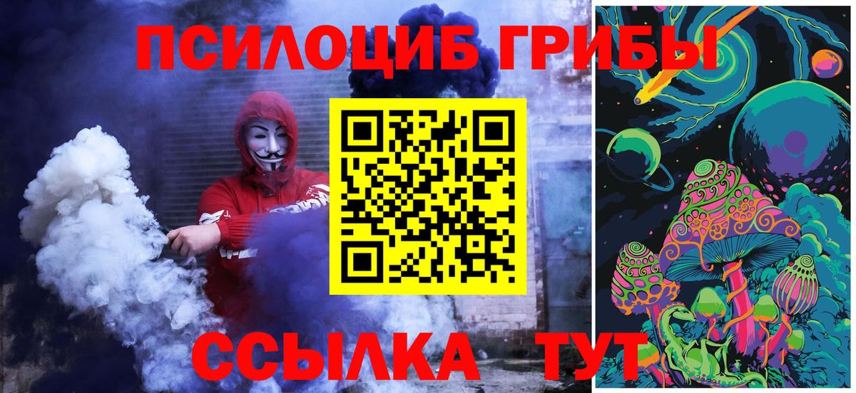 Псилоцибиновые грибы Psilocybe  Вход с VPN  Псилоцибиновые грибы ЛСД  Изобильный 