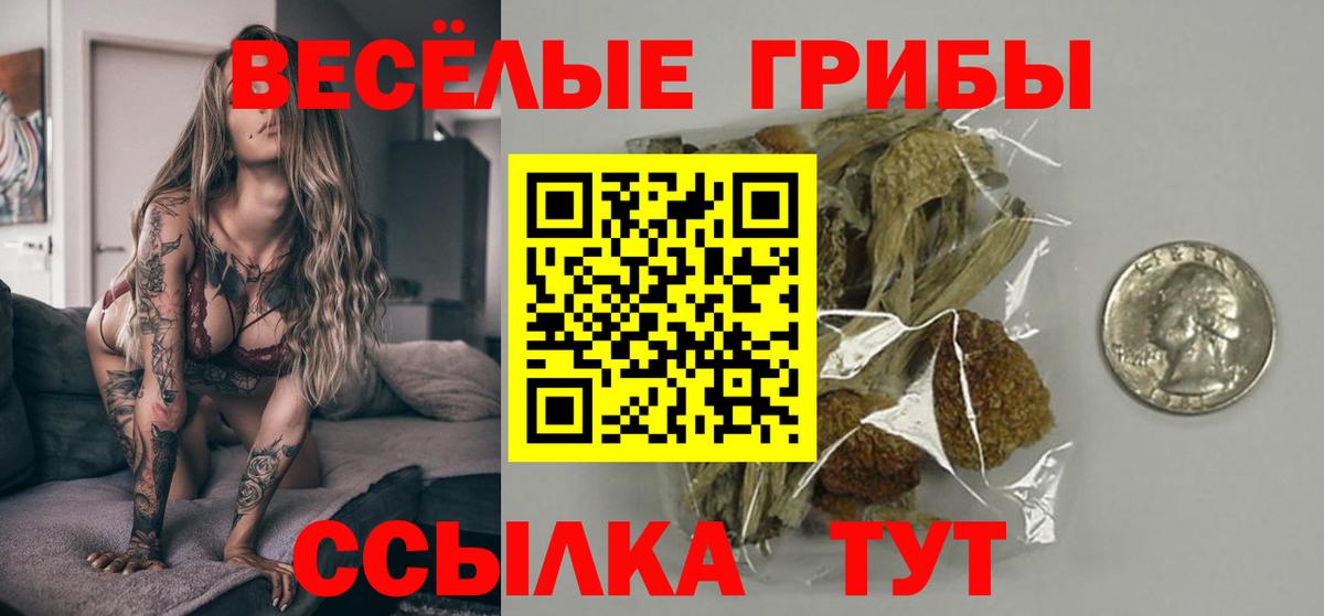 Галлюциногенные грибы мицелий Изобильный
